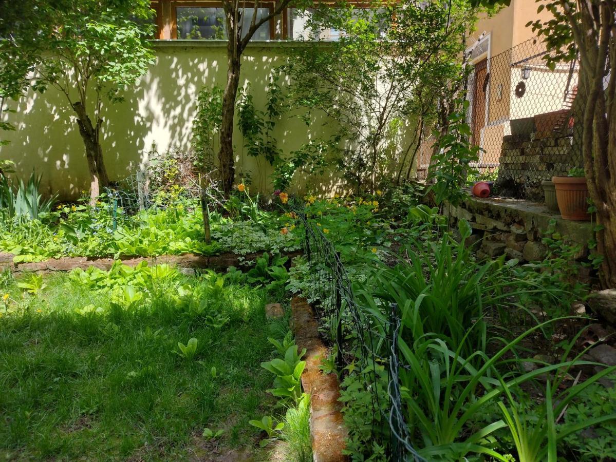 Charming Central Home With Garden Near Parking And Ndk Sofia Exterior foto