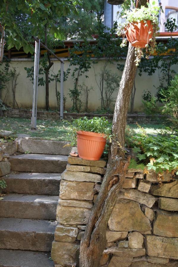 Charming Central Home With Garden Near Parking And Ndk Sofia Exterior foto